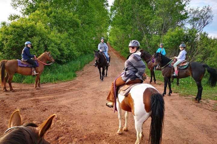 a group of people riding on the back of a brown horse