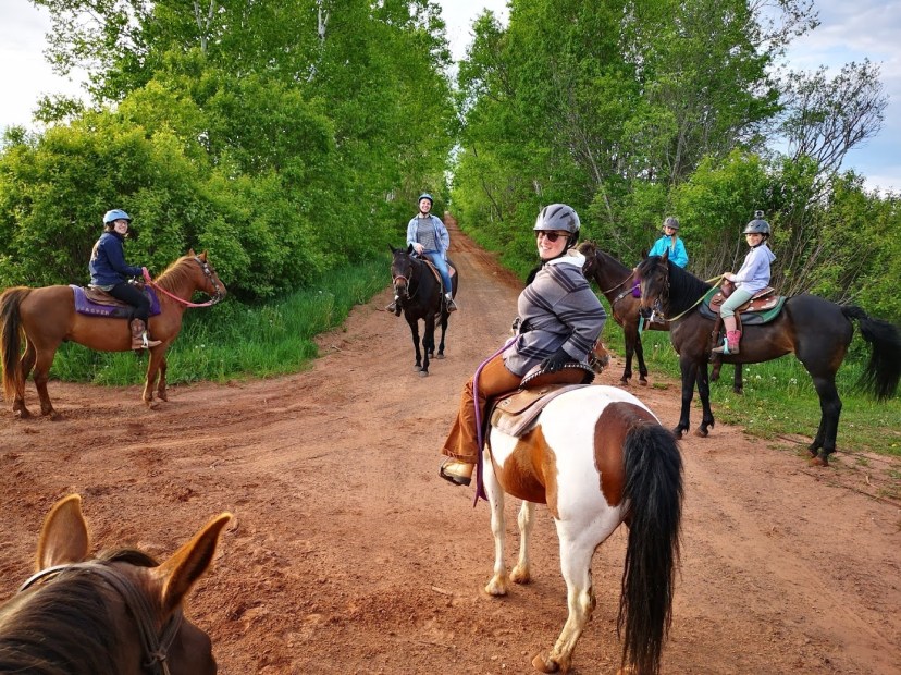 Venture Stables | PEI Horseback Riding & Classes