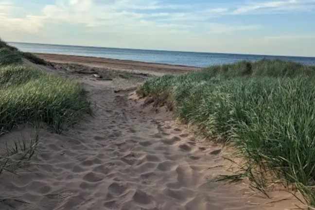 Sandy path through grass dunes leading to a beach under a blue sky.