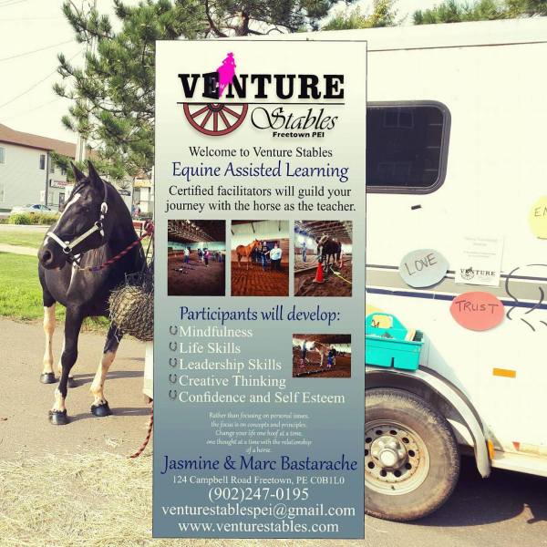 a person riding on the back of a truck