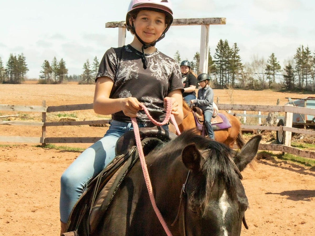 a person riding a horse