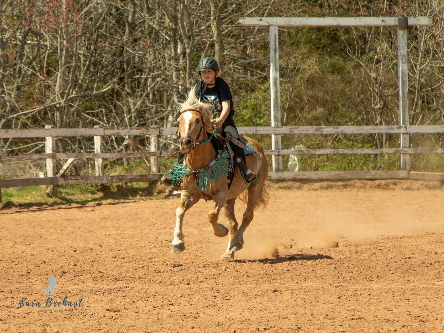 a person riding a horse in the dirt