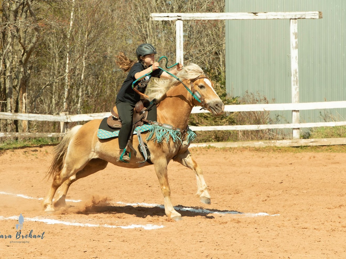 a person riding a horse in the dirt