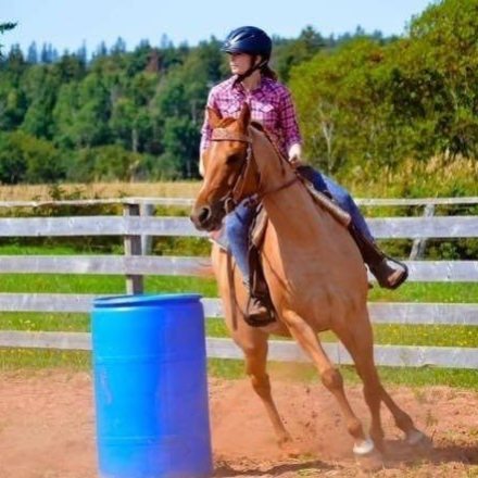 a person riding a horse next to a fence