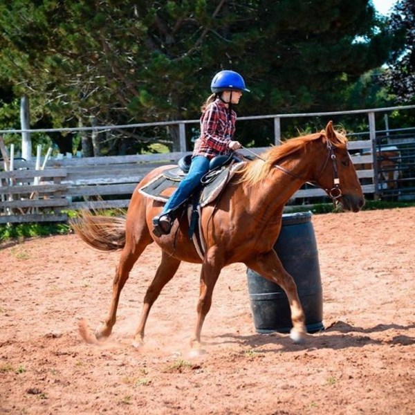 a person riding a horse in the dirt