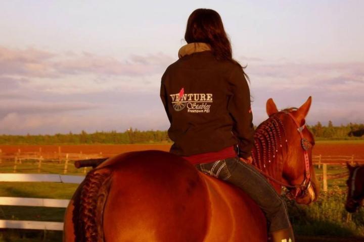 a man riding a horse