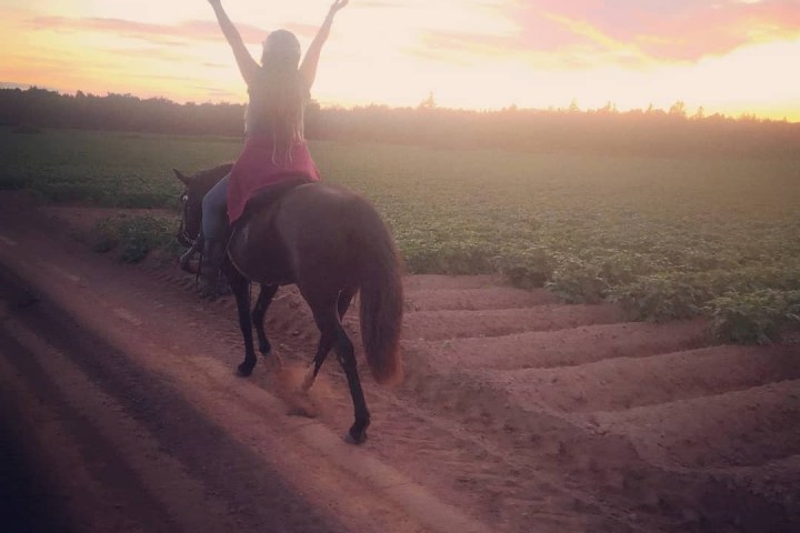 a person riding a horse on a dirt road
