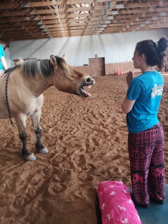 a person standing next to a dog