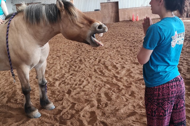 a person standing next to a dog