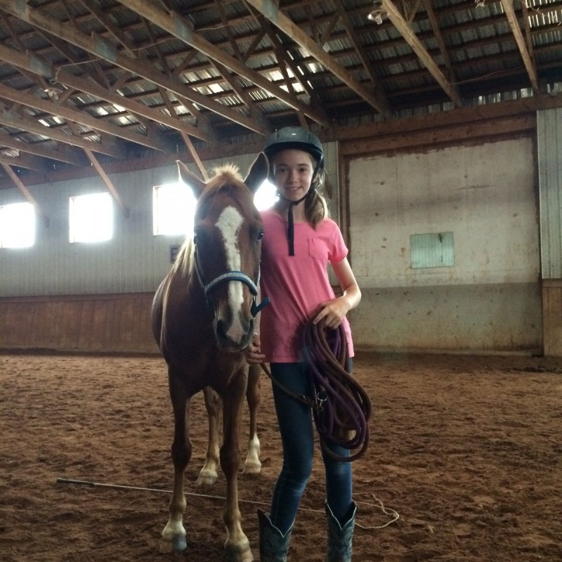 a person riding a horse