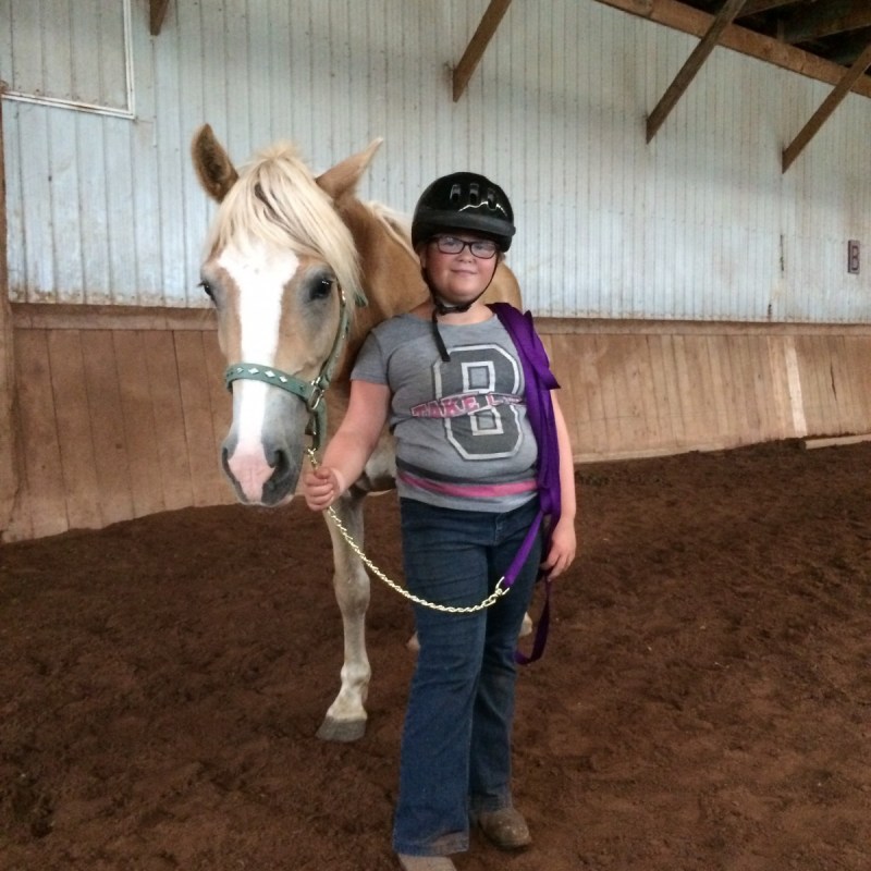 a dog wearing a horse mask posing for the camera