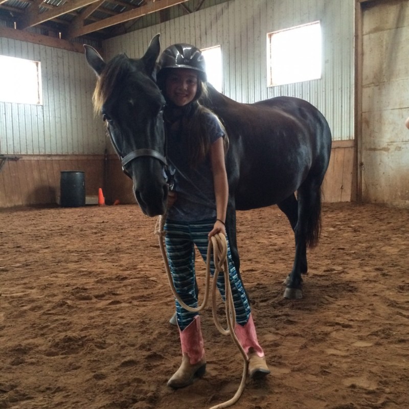 a person riding a horse