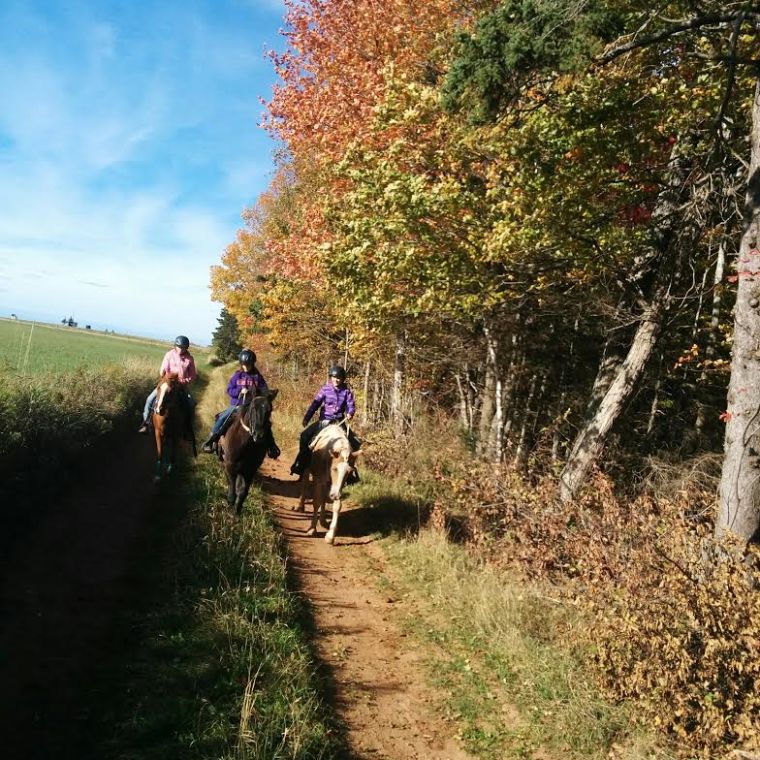 a group of people walking down a dirt road