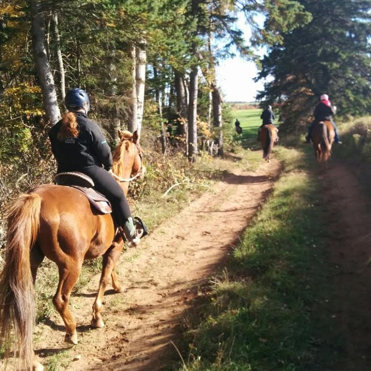 a man riding a horse on a dirt road