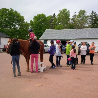 a group of people standing next to a horse