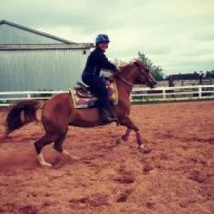 a person riding a horse