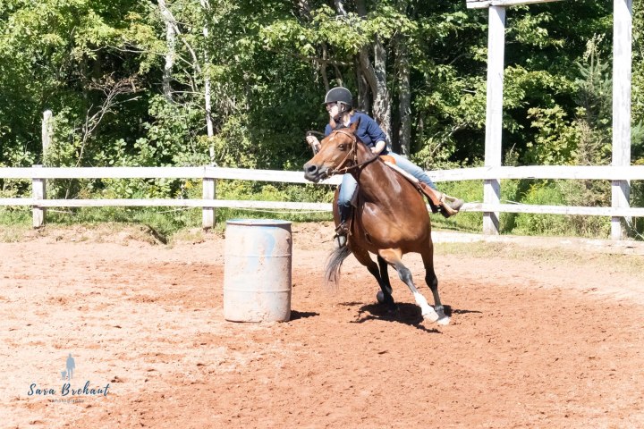 Person riding a horse around a barrel in an outdoor arena.