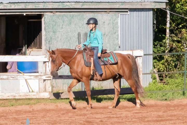 Person in helmet riding a brown horse by a corrugated shed.