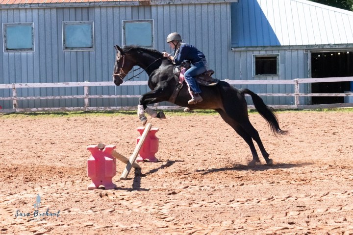 Person riding a horse jumping over a small obstacle in an outdoor riding arena.
