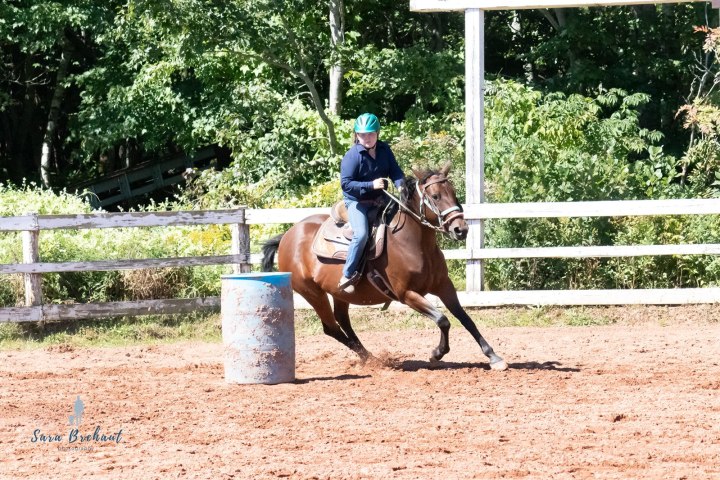 Person riding a horse around a barrel in a fenced outdoor arena.