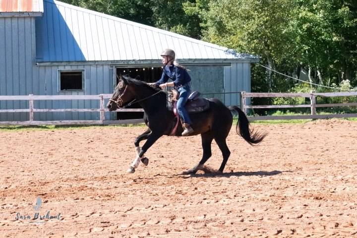 Person riding a horse in an outdoor arena near a blue barn.
