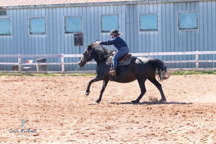Person riding a black horse in an outdoor arena near a corrugated metal building.
