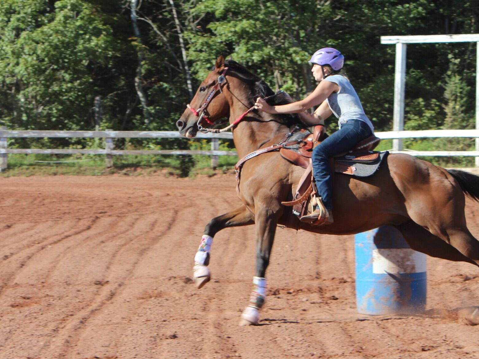 a person riding a horse in the dirt