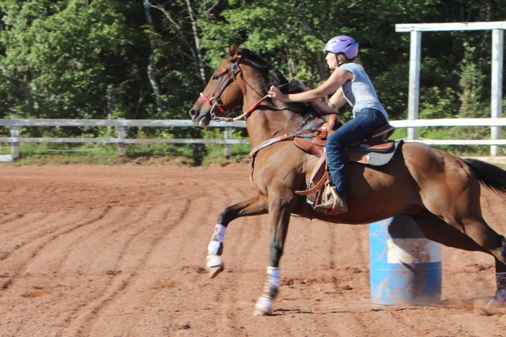 a person riding a horse in the dirt