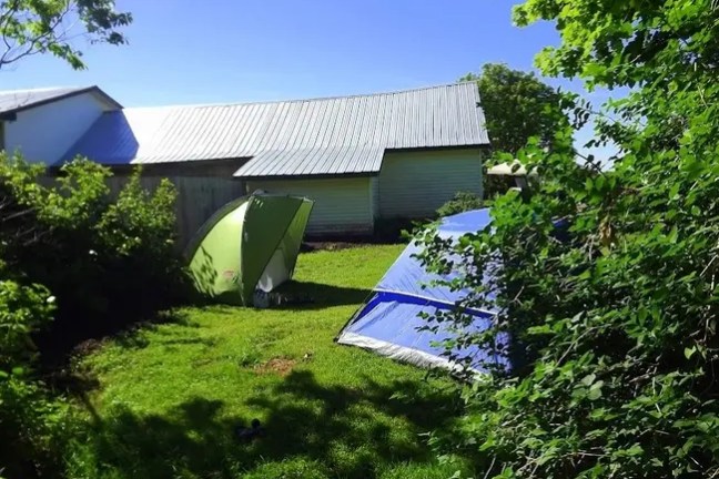 Two tents on a grassy lawn next to a metal-roofed building, surrounded by trees.