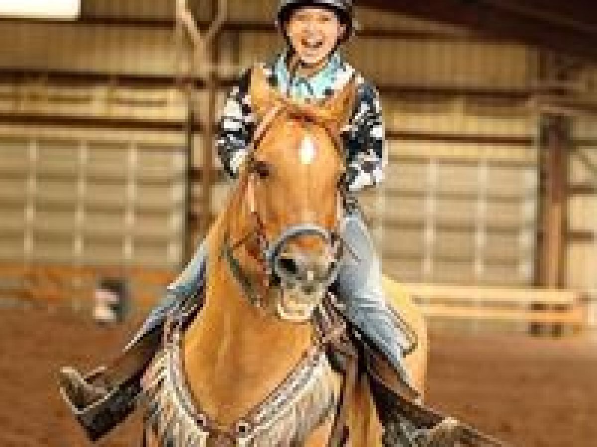 a person riding a horse