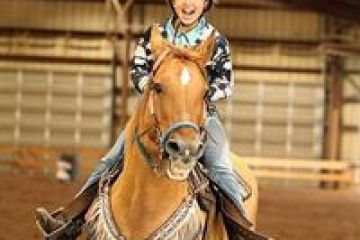 a person riding a horse