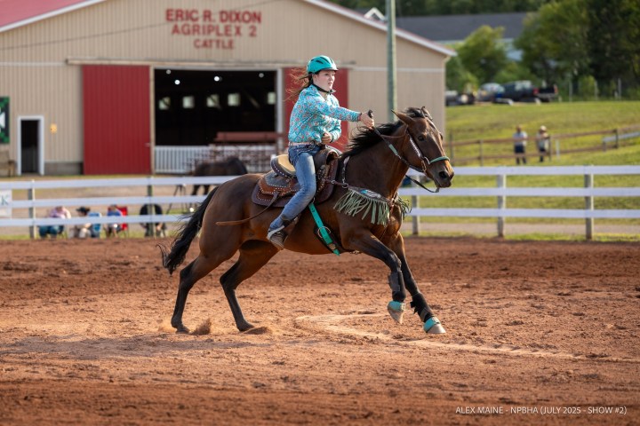 Person riding a brown horse in an arena, wearing a teal helmet and shirt, with a building in the background.