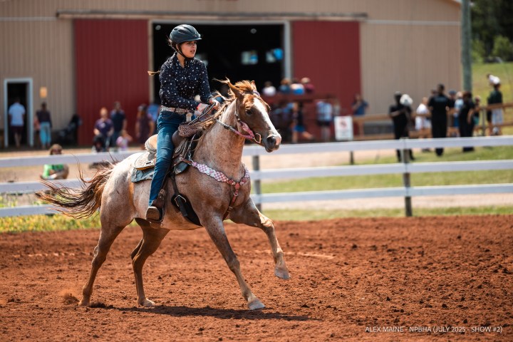 Person riding a horse in a dirt arena, wearing a helmet, with a barn and spectators in the background.
