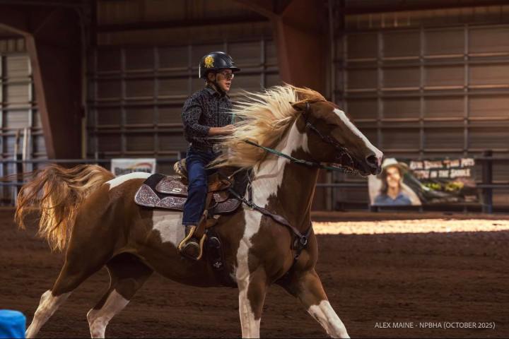 Person riding a brown and white horse indoors, wearing a helmet and patterned shirt.