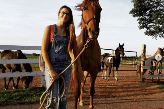 a person riding a horse