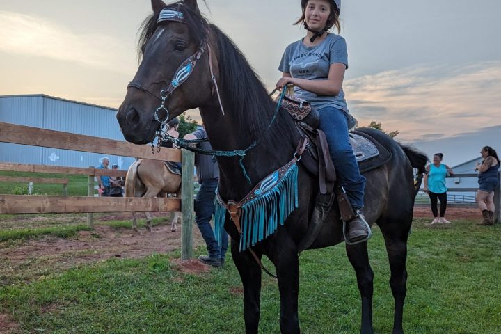 a person riding a horse in a field