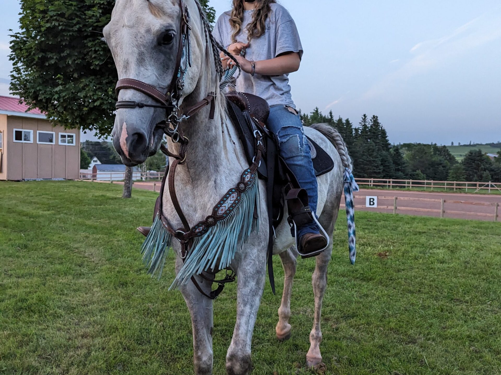 Princess Ingrid Alexandra of Norway riding a horse in a field