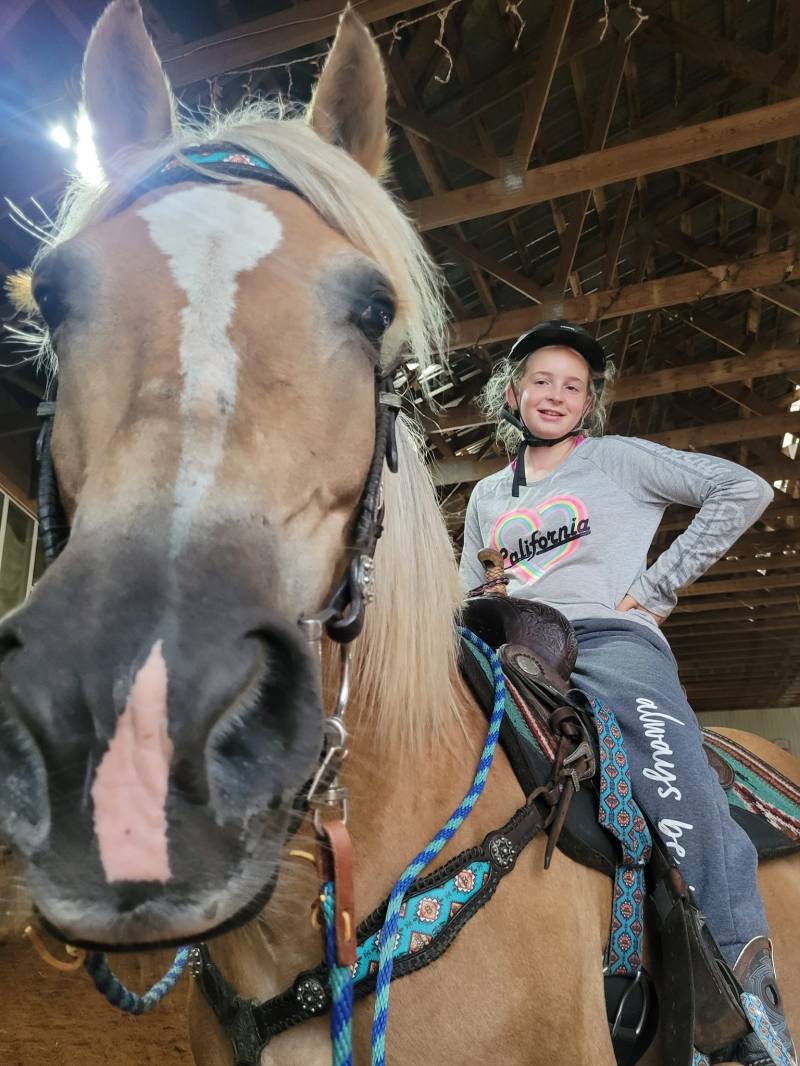 a person petting a horse
