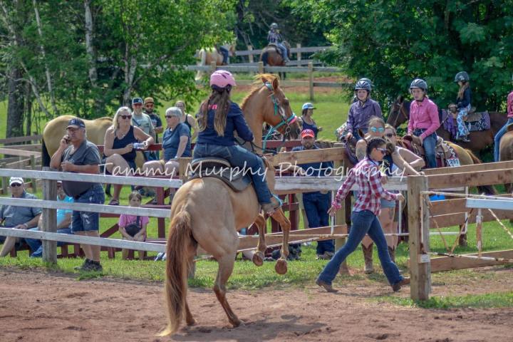 a person riding a horse jumping over a fence