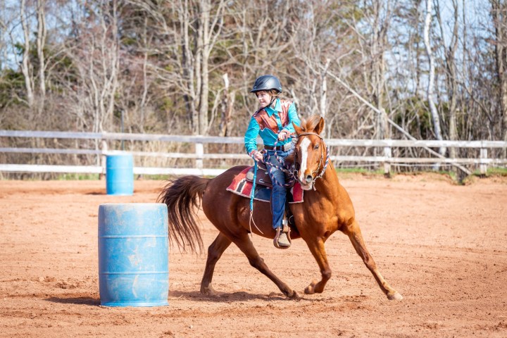 a person riding a horse