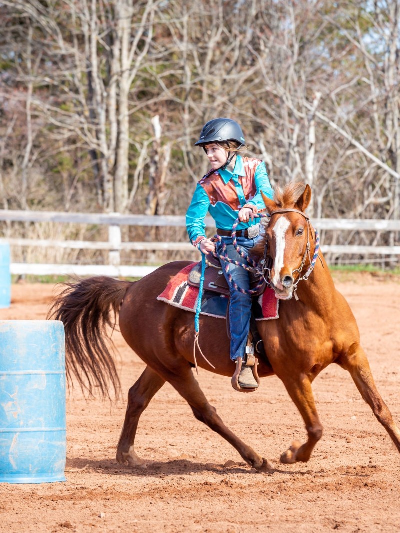 a person riding a horse
