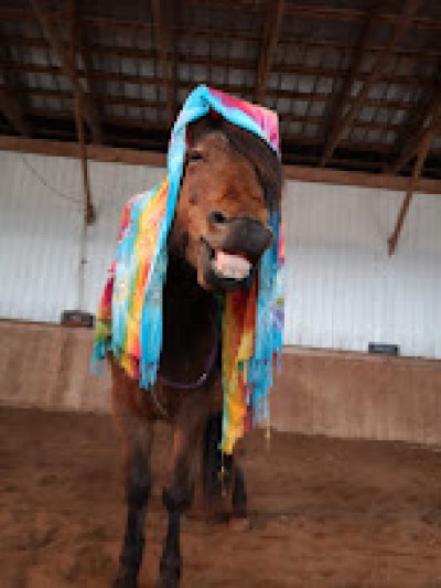 a person standing next to a horse