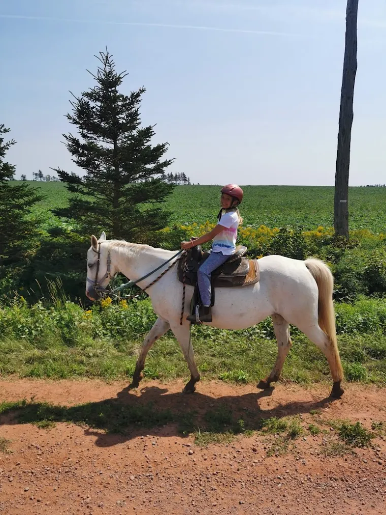 a man riding a horse