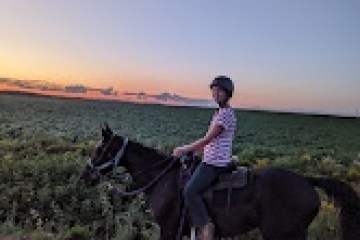 a person riding a horse