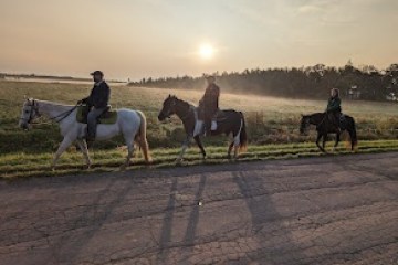 a group of people riding on the back of a horse