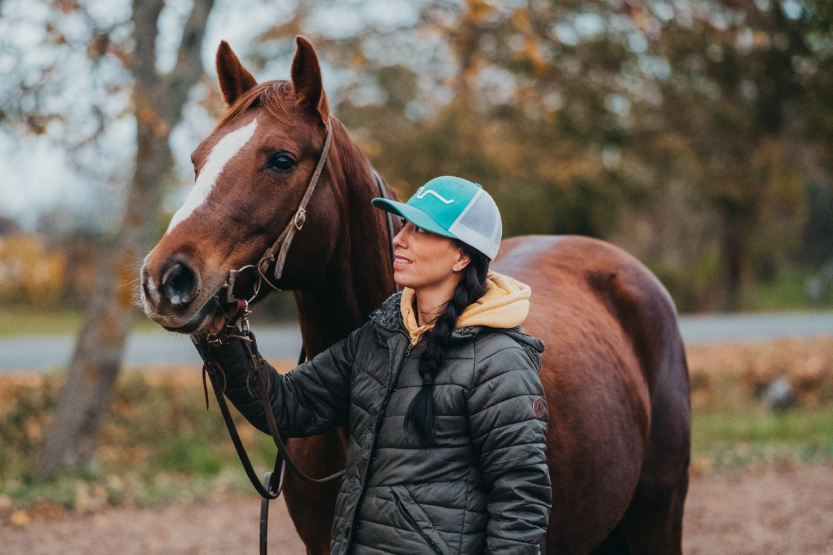 a person riding on the back of a brown horse