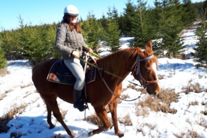 a person riding a horse in the snow