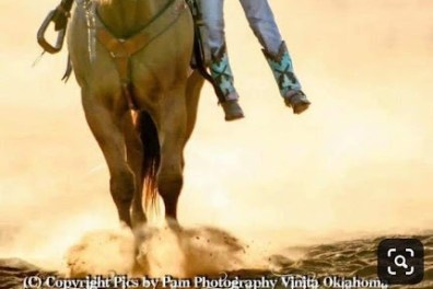 a person riding a horse