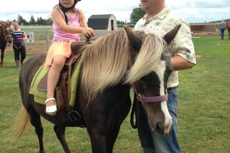a person riding a horse in a field
