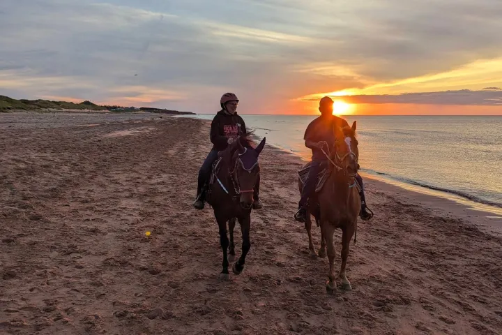 a man riding a horse on a sandy beach